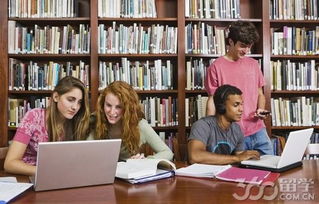 社会热点推动赴美留学热门专业申请 留学信息咨询需求激增